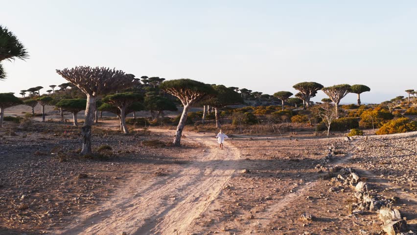 A solitary figure walking down a dirt road on Socotra Island, Yemen, under a late afternoon sun