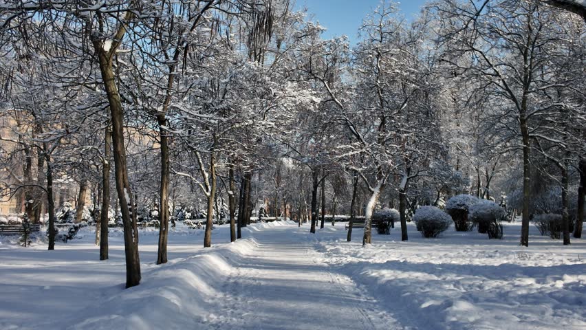 Serene winter park alley covered in white snow with wooden benches and bare trees under sunlight. This peaceful landscape offers a quiet outdoor atmosphere