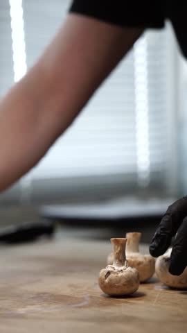 Julienne with Mussels and Mushrooms Cooking in Pan
Close-up of julienne-style dish with mussels and mushrooms cooking in pan. Homemade seafood and mushroom meal preparation, warm comfort food concept.