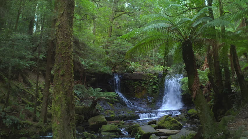 River waterfall in forest of Tasmania Australia. Mossy stones and rocks in water