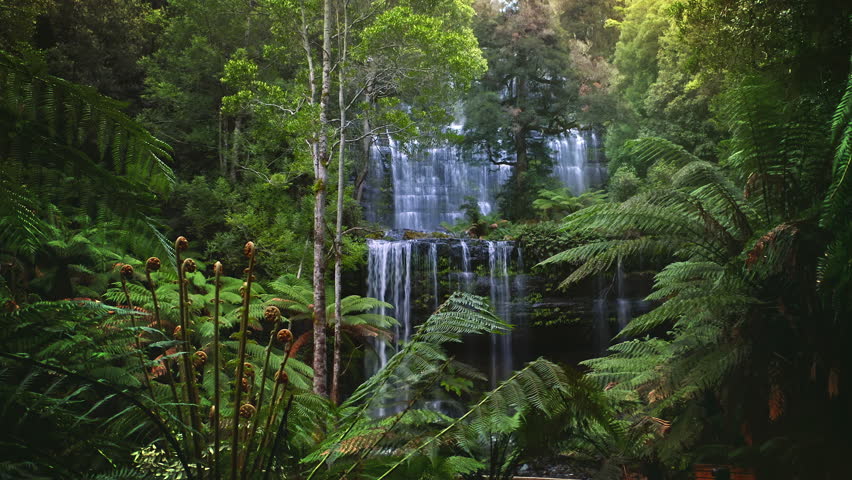 Australia wilderness. Tasmania rainforest waterfall scenery landscape