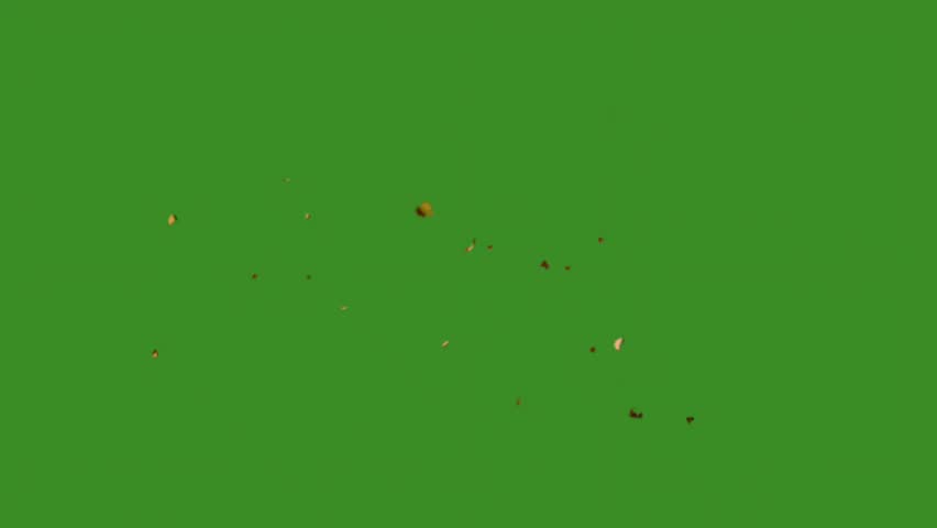 Tiny leaf debris floating gently across green screen background