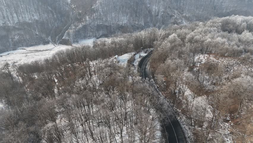 Aerial view of forest landscape, winter time with frozen white trees