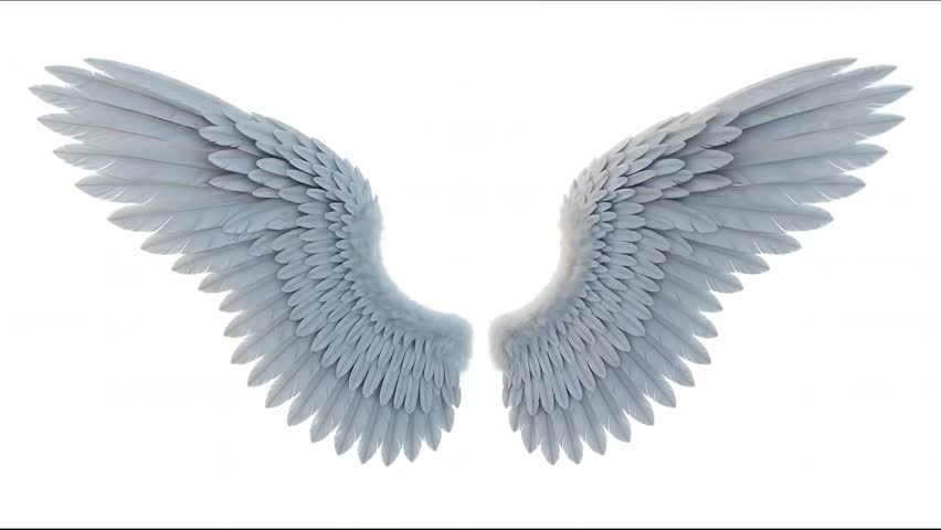 Beautiful High-Resolution White Angel Wings 4k video