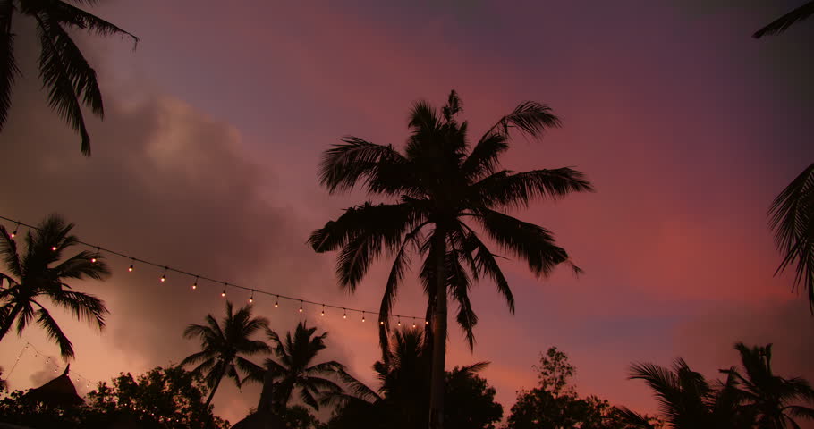 Outdoor string lights illuminating palm trees under purple sunset on tropical island