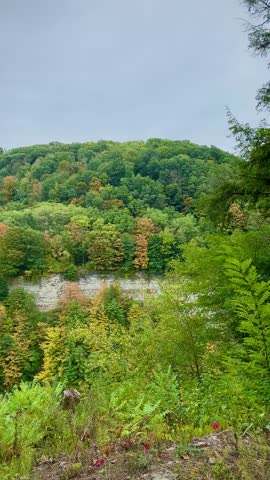 Beautiful View of the Grand Canyon of the East (Letchworth State Park, Portageville, New York, USA)