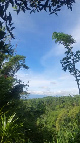 A breathtaking coastal panorama from a hilltop, featuring a lush green tropical forest overlooking the deep blue sea. The scene is captured under a bright blue sky with fluffy white clouds, using tree branches and leaves as a natural frame on the top and left side. A stunning representation of tropical nature, harmony, and serene landscape in Indonesia.