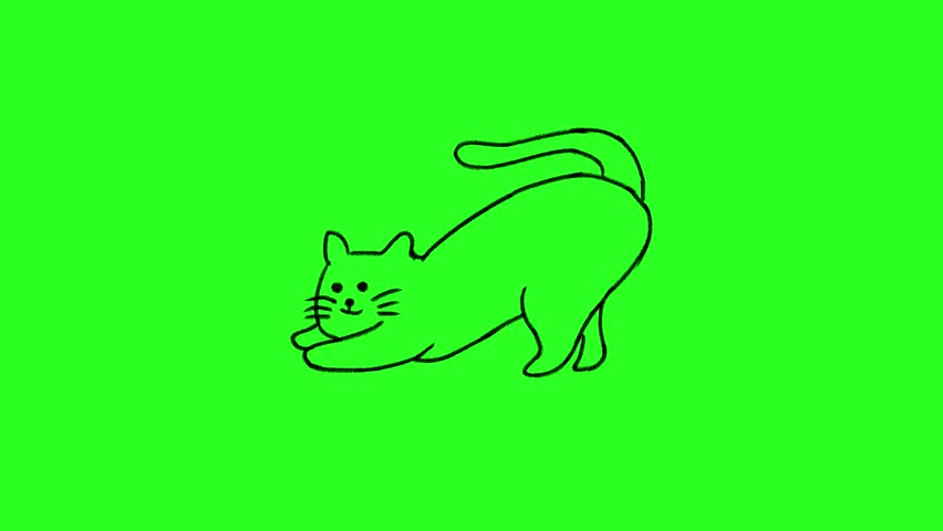 4K Hand drawn lazy cat getures frame by frame animation on chroma key green screen background.