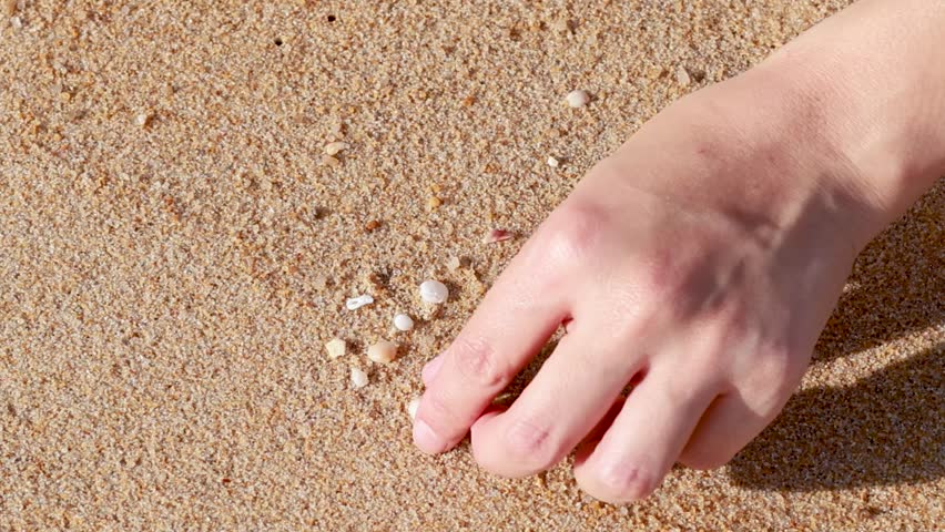 A person carefully selects and collects tiny seashells from the sand under bright sunlight.