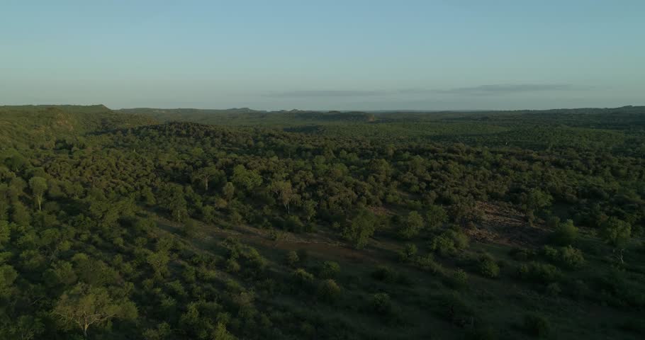 Epic aerial shot flying over the bush in the Kruger National Park, South Africa