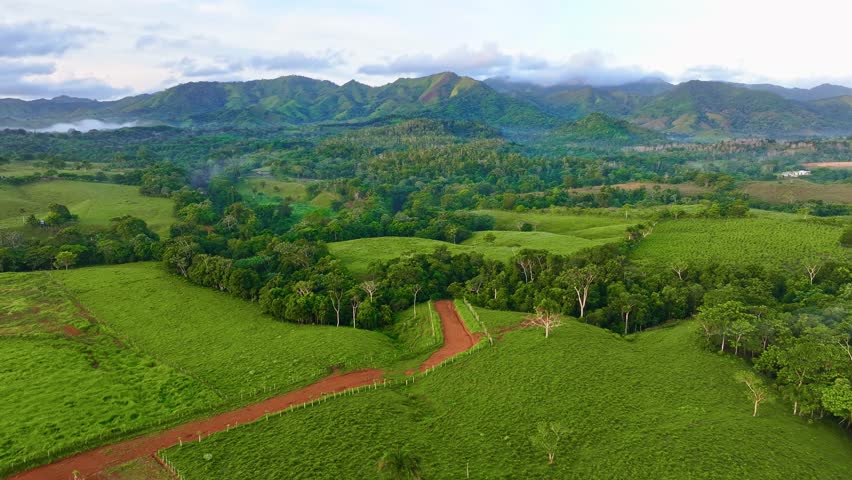 Green grass rolling over rolling hills in a rural landscape into a distant mountain valley. Road tracks through rolling meadows against a backdrop of misty mountains in the early morning. Summer mountain landscape.