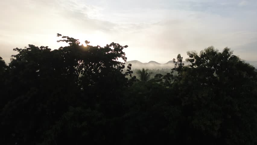 Sunrise mist and fog over countryside field and mountain horizon, aerial landscape panorama with soft golden light, green farmland, valley forest silhouettes, tranquil morning haze