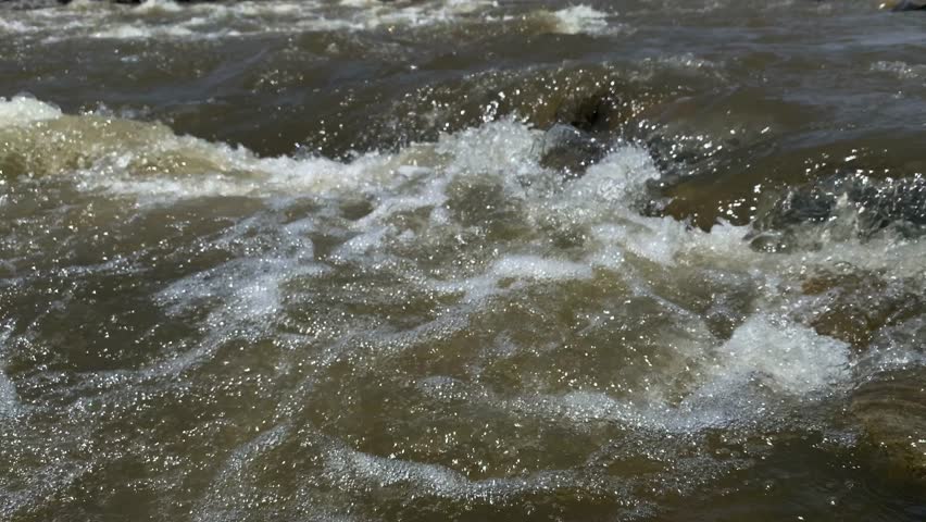 Rough river rapids with white water flowing over rocks along a shallow bank.