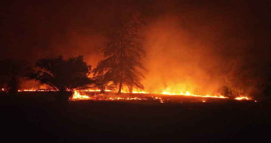 Wildfire burning forest at night, casting an orange glow across the dark landscape and creating thick smoke, representing an ecological disaster and climate change impact. Drone flight zoom in