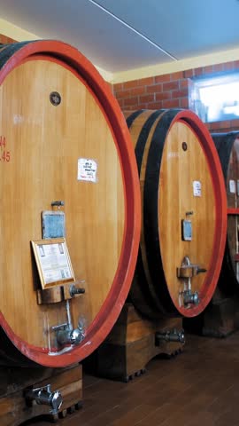 Large wooden barrels. winery. wine , cognac, whiskey or brandy warehouse. wooden barrels with wine at wine warehouse. traditional small family winery. Alcohol in barrels in underground vault.