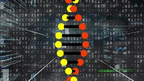 Animation of dna strand spinning over digital data processing. Global business communication and data network concept digitally generated video. - Powered by Shutterstock - Get 15% off with code: PIKWIZARD15