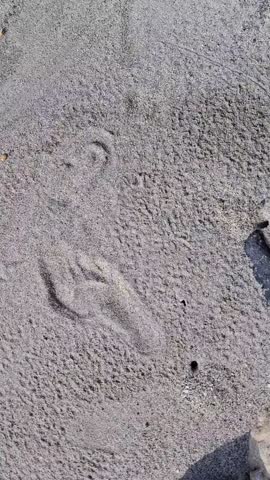 footprints in the sand on the beach