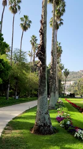Lush Botanical Garden with Palm Trees and Martyrs’ Memorial in Algiers, Algeria