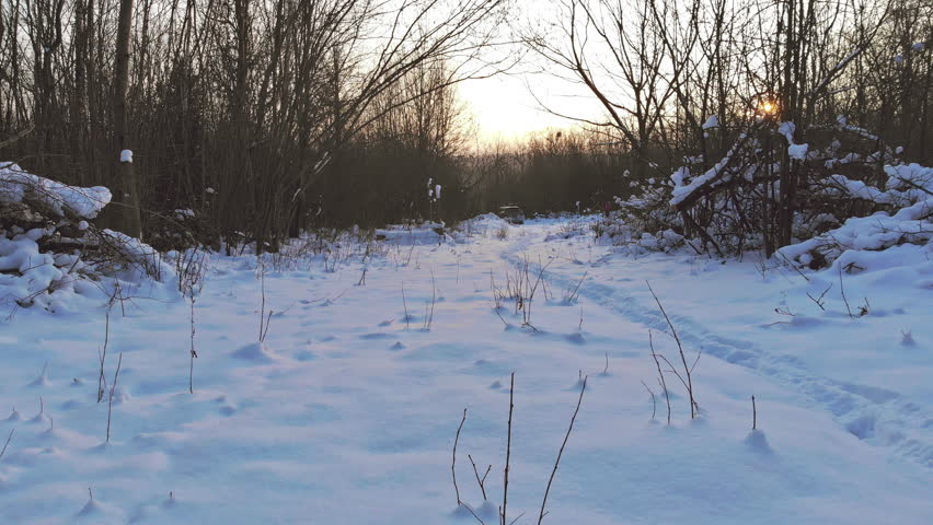 Clear path covered in snow leads through forest as sun sets behind trees scene shows peaceful winter evening with footprints in snow.