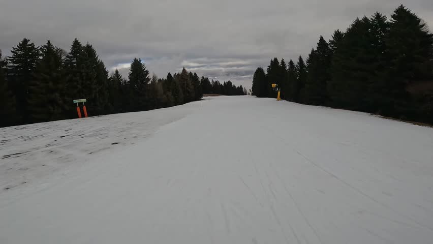 First Person Skiing Along Tree Lined Snowy Trail Folgaria Italy Winter Forest Landscape Overcast