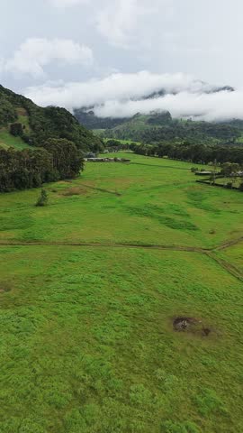 A large field of grass with a few trees in the background