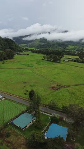 A view of a green field with a house in the foreground