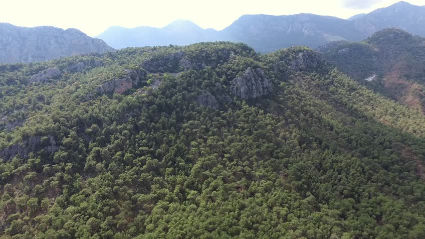 Aerial view of dense pine forests across Balkan landscapes in southeast Europe. Elevated perspective reveals green conifer canopy, rugged hills, and untouched wilderness.