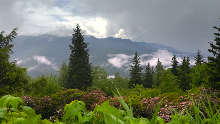 Great Smoky Mountains in summer rainy season. Mountain wooded hills in Tennessee Appalachians, USA.