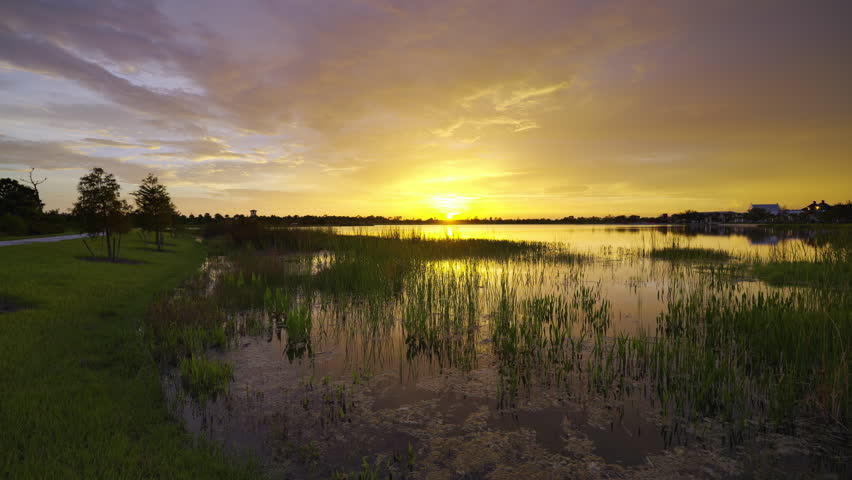 Amazing Florida nature. Sunset over lake water in southern tropical wetlands.