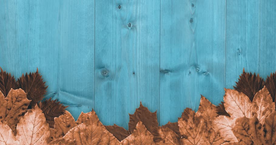 Happy thanksgiving text against multiple autumn leaves falling against forest. Autumn season concept.