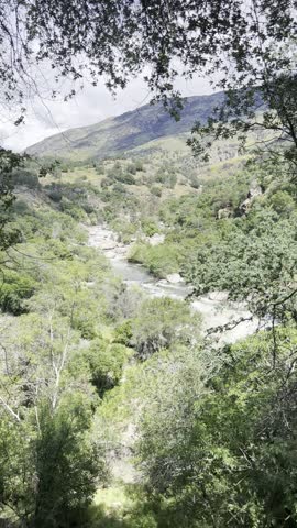 Water flows gently through the Kaweah River near the entrance station of Sequoia National Park, surrounded by lush green vegetation and rolling foothills. The static handheld shot captures calm movement in a peaceful natural setting.