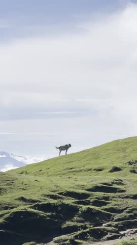 Open sky hills minimal landscape