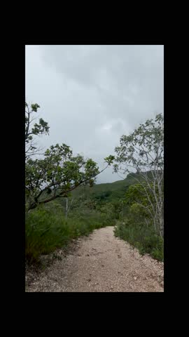 Walking on dirt trails, hiking, body movement, adventure.