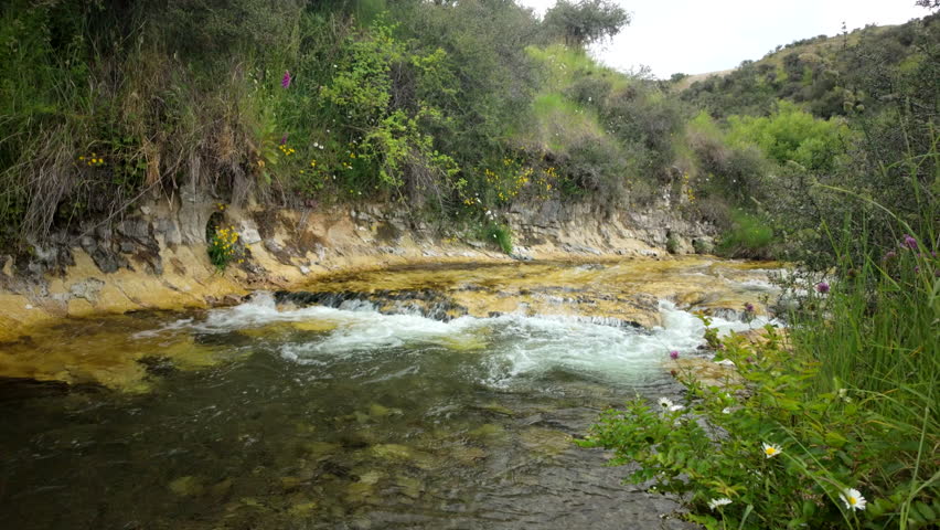 Small Rapids In A Forest Creek Bend