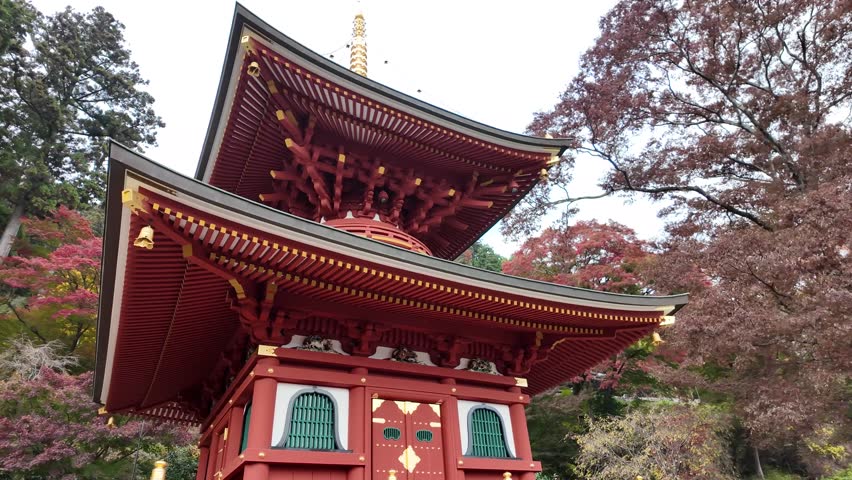 Scenic Viewpoint of To-ji Temple, a Popular Tourist Destination in Kyoto