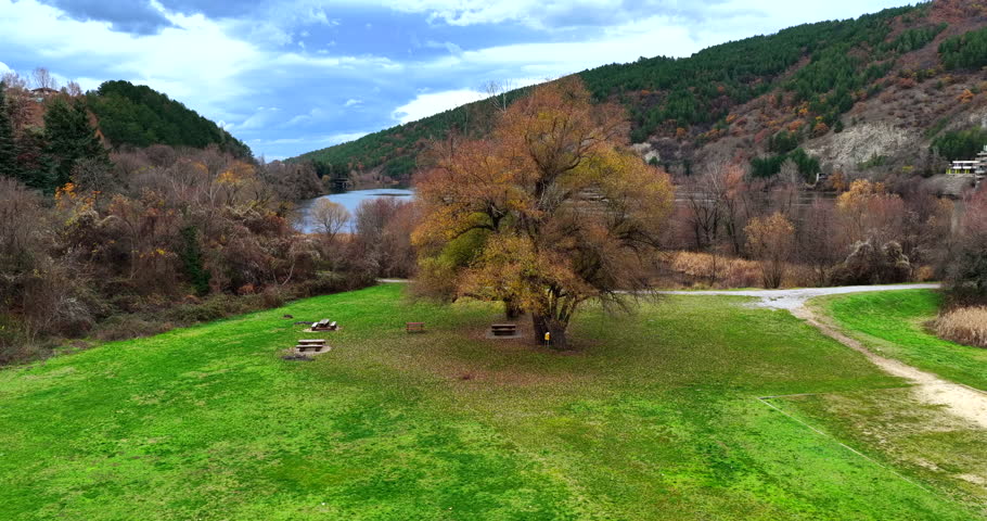Green meadow with tree and a mountain lake in the autumn, drone view