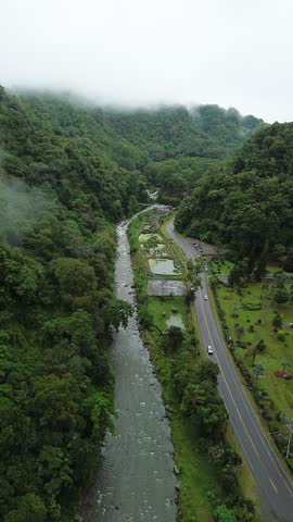 A river runs through a forest with a road running alongside it