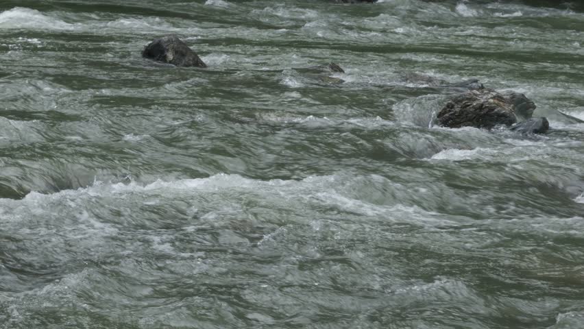 Raging river rapids flow over dark rocks with white foam
