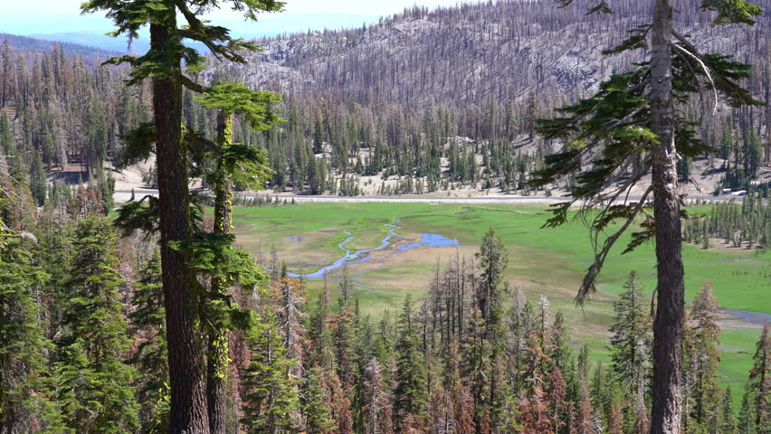 Lassen Volcanic National Park Kings Creek Meadow from above California USA