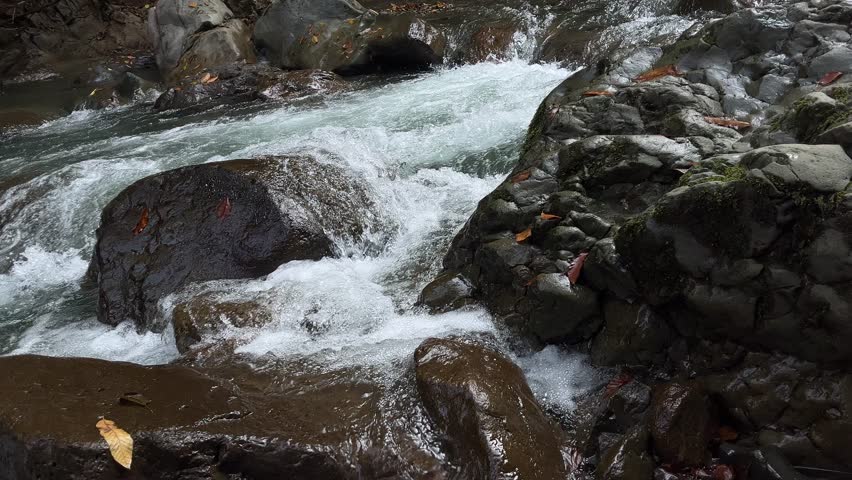 Fast mountain stream rushing over wet rocks with whitewater foam and autumn leaves, close-up nature background of a rocky river in a forest.