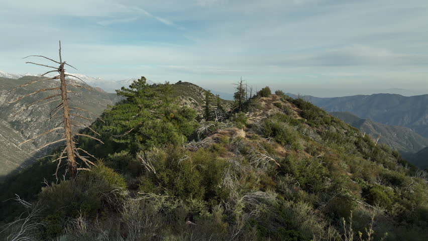 San Gabriel Mountains Winter Forest Aerial Shot Low Fly Over California USA