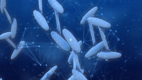 Animation of network of connections over dna strand and globe. Global business and digital interface concept digitally generated video. - Powered by Shutterstock - Get 15% off with code: PIKWIZARD15