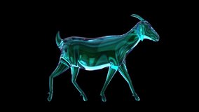 Minimalist 3D glass goat walking with iridescent pearlescent reflections. Translucent crystal animal animation on transparent background. - Powered by Shutterstock - Get 15% off with code: PIKWIZARD15
