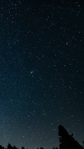 Vertical Shot of Milky Way Galaxy Star Trails in North Sky Stargazing Astrophotography\ Time Lapse in California USA