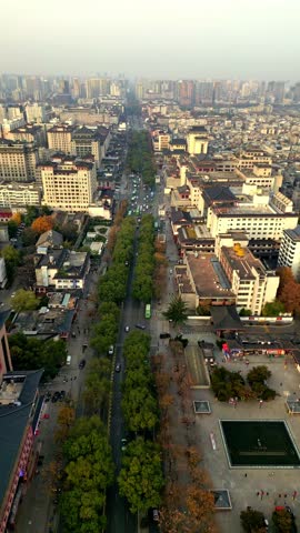 Aerial view of a vibrant street lined with lush green trees, contrasting with the urban architecture, Xi