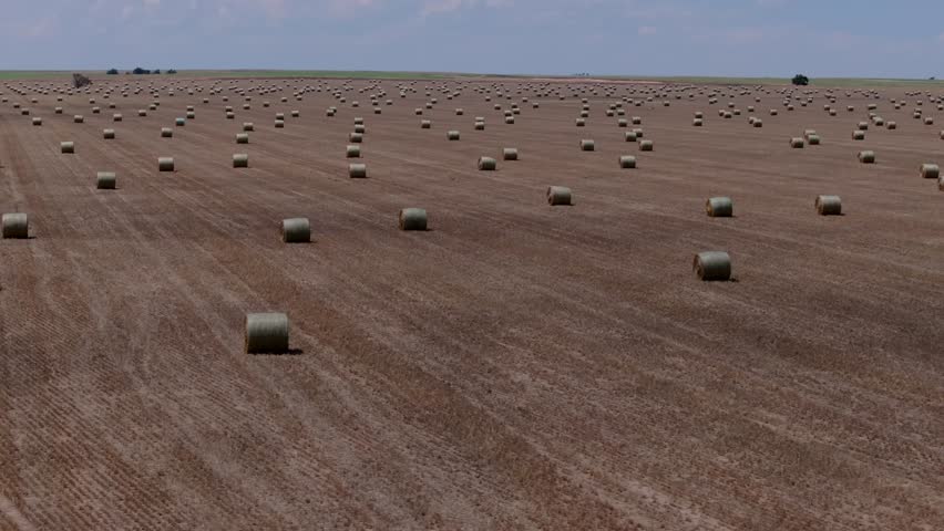Drone aerial of agricultural harvest field scattered with hay bales