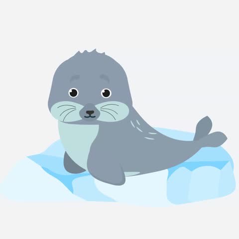 seal cute cartoon character animation 