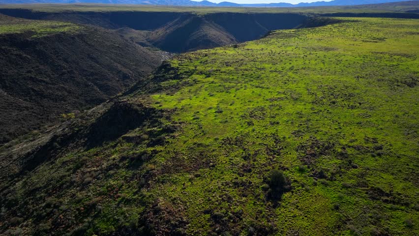 Aerial view of the Agua Fria River cutting through a dramatic canyon, with vibrant green plains contrasting with the dark canyon, Agua Fria, Arizona, United States.