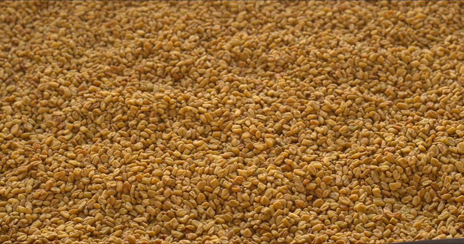 Fenugreek (methi) seeds make a sliding abstract food texture.