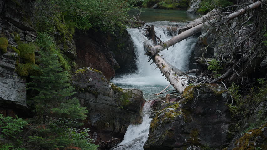 Scenic Montana waterfall with lush greenery and fallen tree in nature